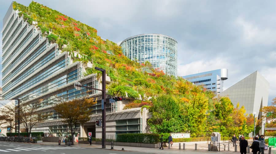 Green Buildings - The Future of Construction