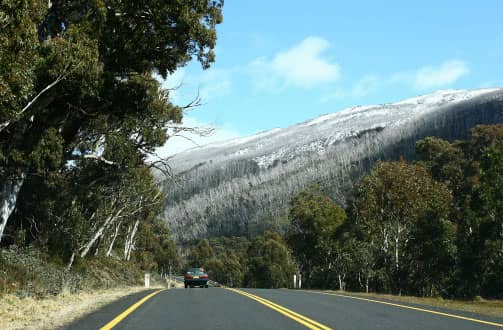 The Alpine Way